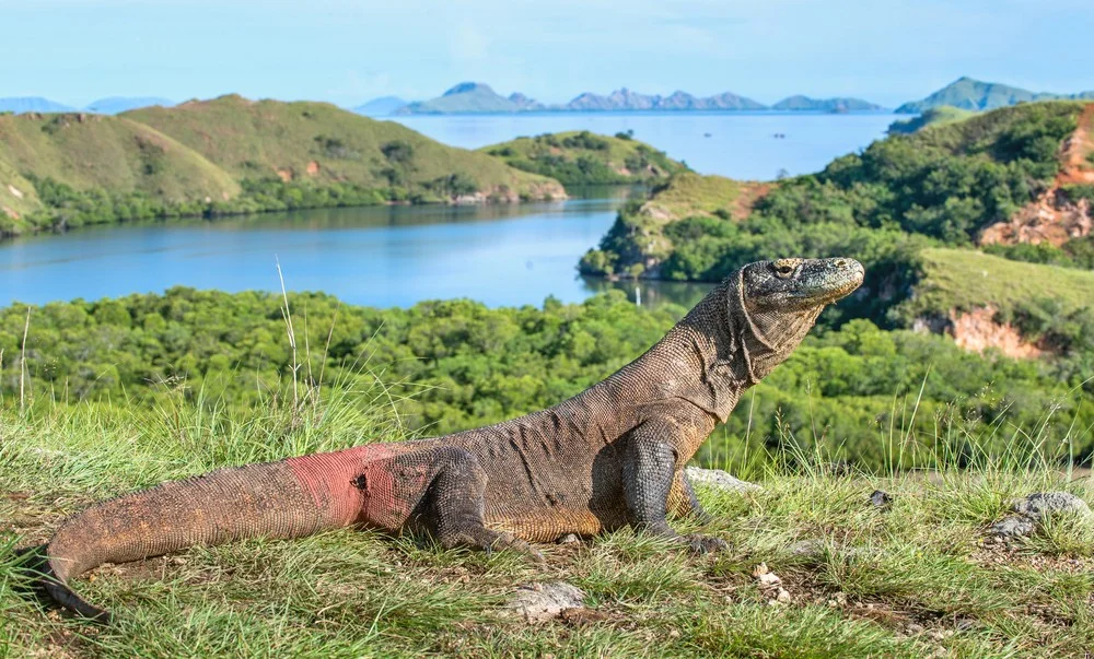 Pulau Tersembunyi di Indonesia